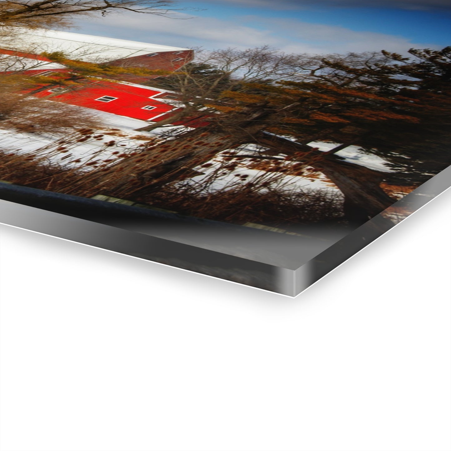 U R There Photography Hadley Road Hidden Red in Winter Rustic Farmhouse Acrylic Wall Print