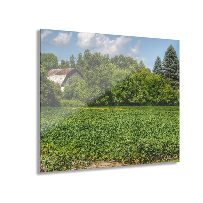 U R There Photography Canada Road Hidden Rustic Farmhouse Acrylic Wall Print