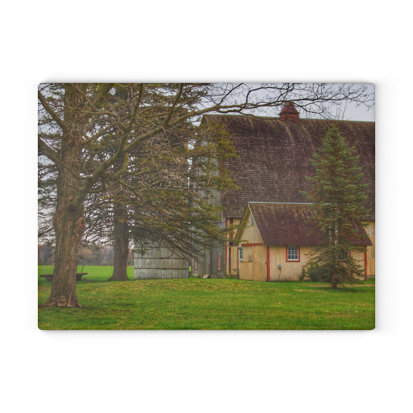 U R There Photography Romeo Van Dyke Grey Rustic Farmhouse Tempered-Glass Cutting Board