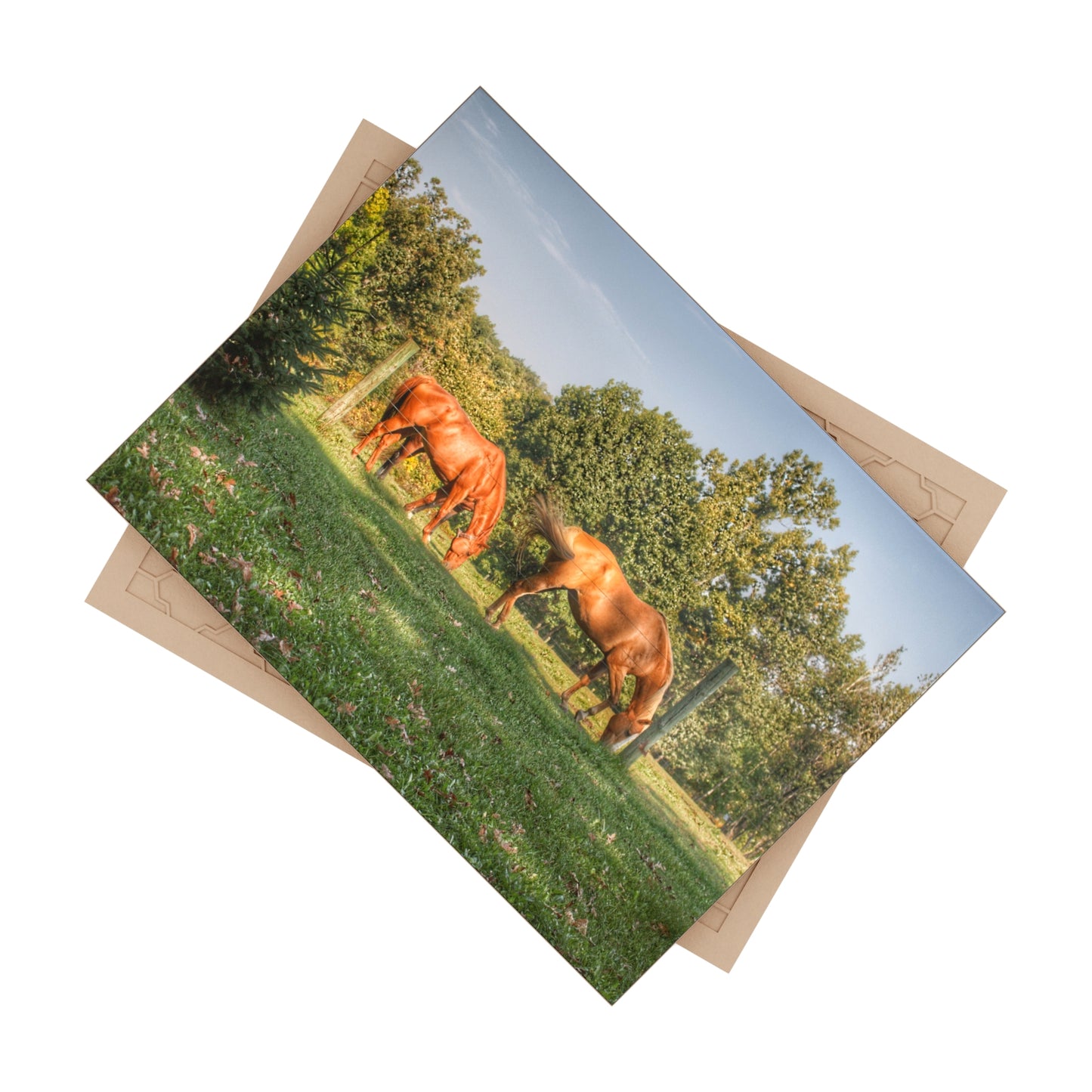 U R There Photography Caramel Horses Rustic Farmhouse Decorative Ceramic Tile