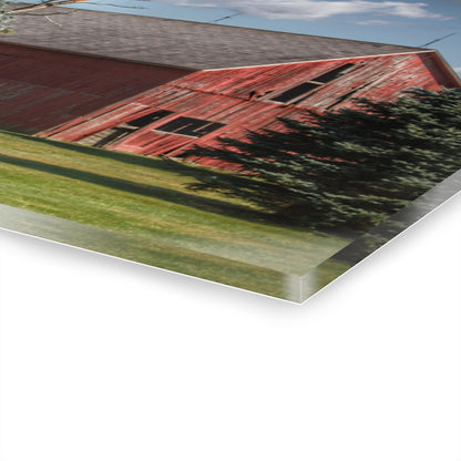 U R There Photography Havens Road Red Among the Pines Rustic Farmhouse Acrylic Wall Print