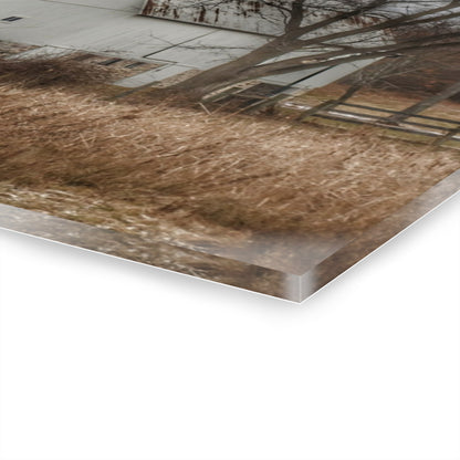 U R There Photography Oakwood Road White II Rustic Farmhouse Acrylic Wall Print