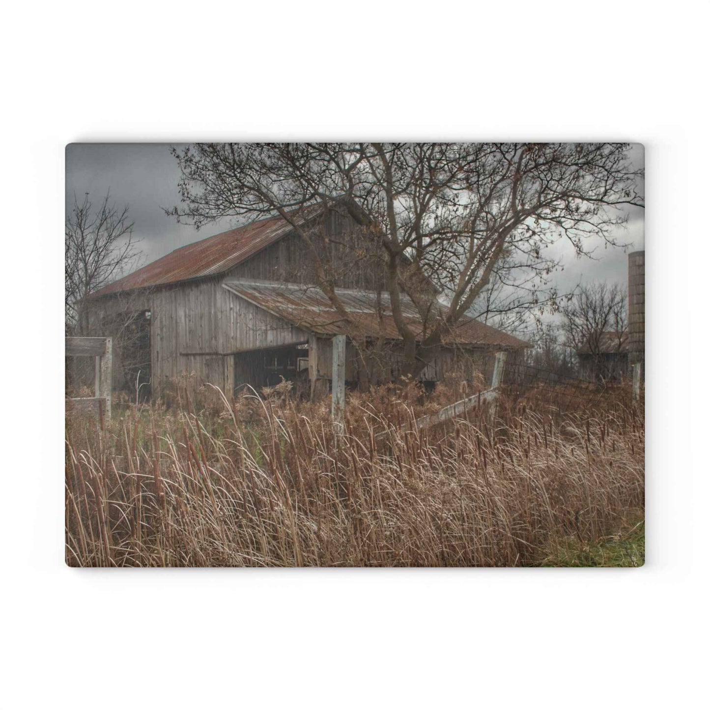 U R There Photography Grey Saltbox Rustic Farmhouse Tempered-Glass Cutting Board