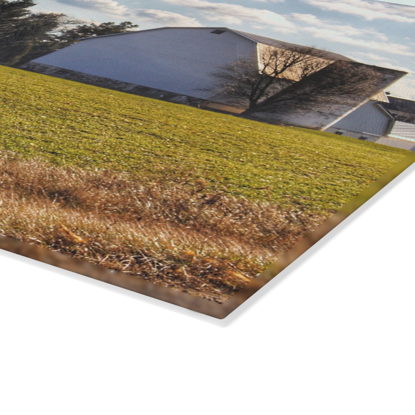 U R There Photography Sandusky White Rustic Farmhouse Tempered-Glass Cutting Board