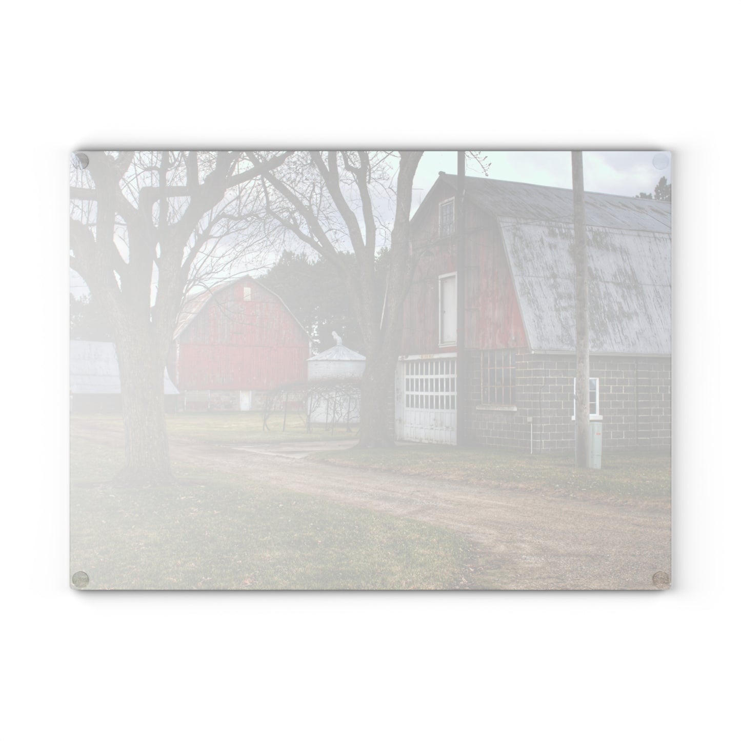 U R There Photography Peck Reds Rustic Farmhouse Tempered-Glass Cutting Board 8"x 11"