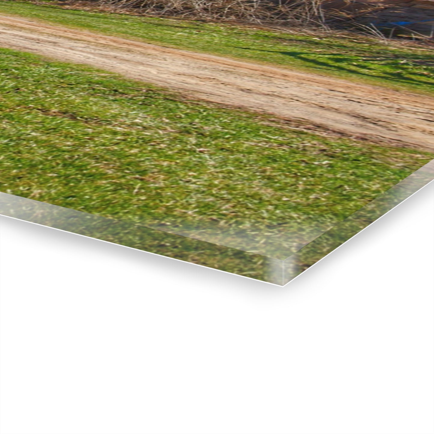 U R There Photography Lee Hill Greys Rustic Farmhouse Acrylic Wall Print