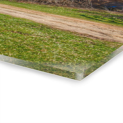 U R There Photography Lee Hill Greys Rustic Farmhouse Acrylic Wall Print