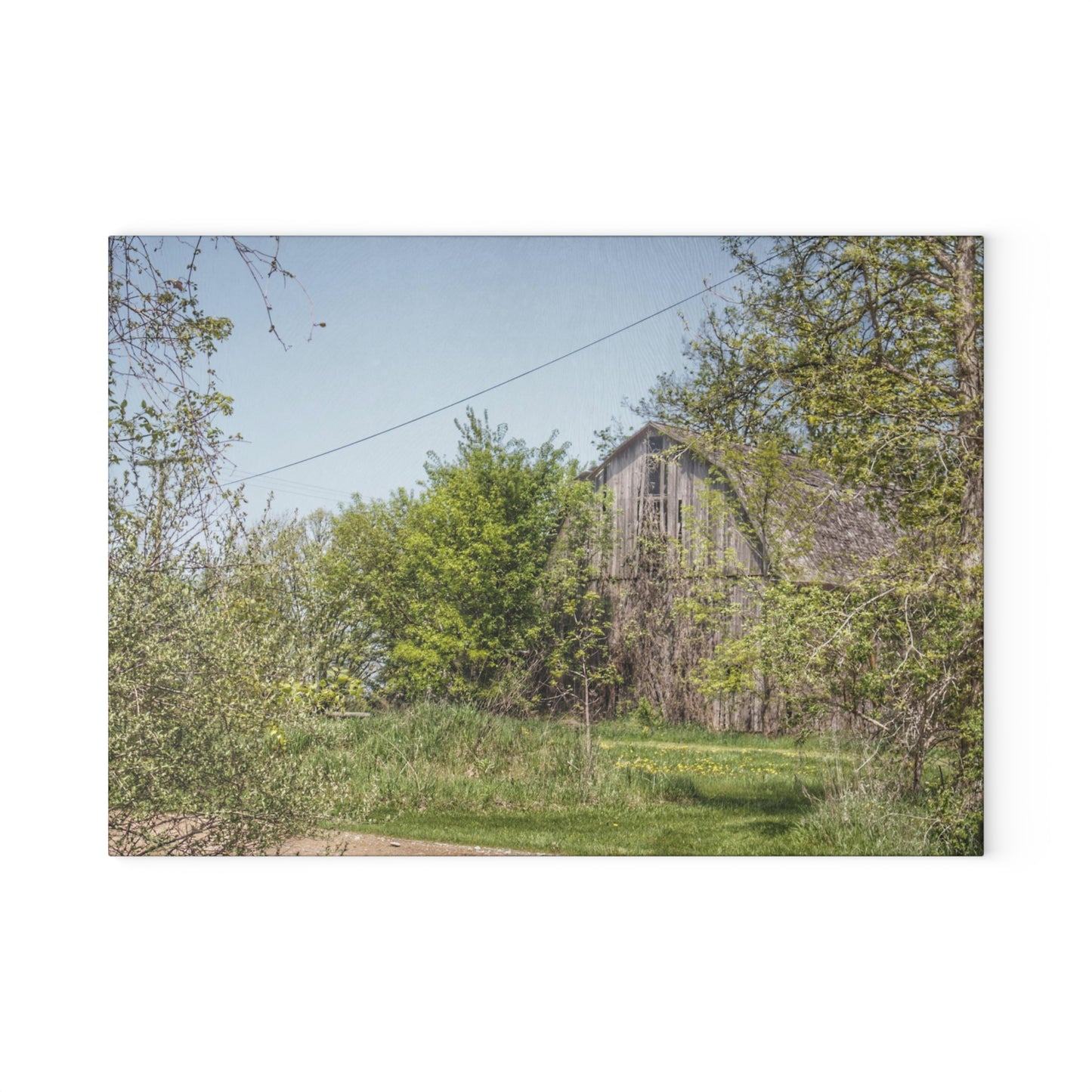 U R There Photography Bishop Road Grey II Rustic Farmhouse Tempered-Glass Cutting Board