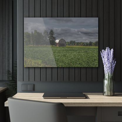 U R There Photography Belsay Grey Among the Pines Rustic Farmhouse Acrylic Wall Print