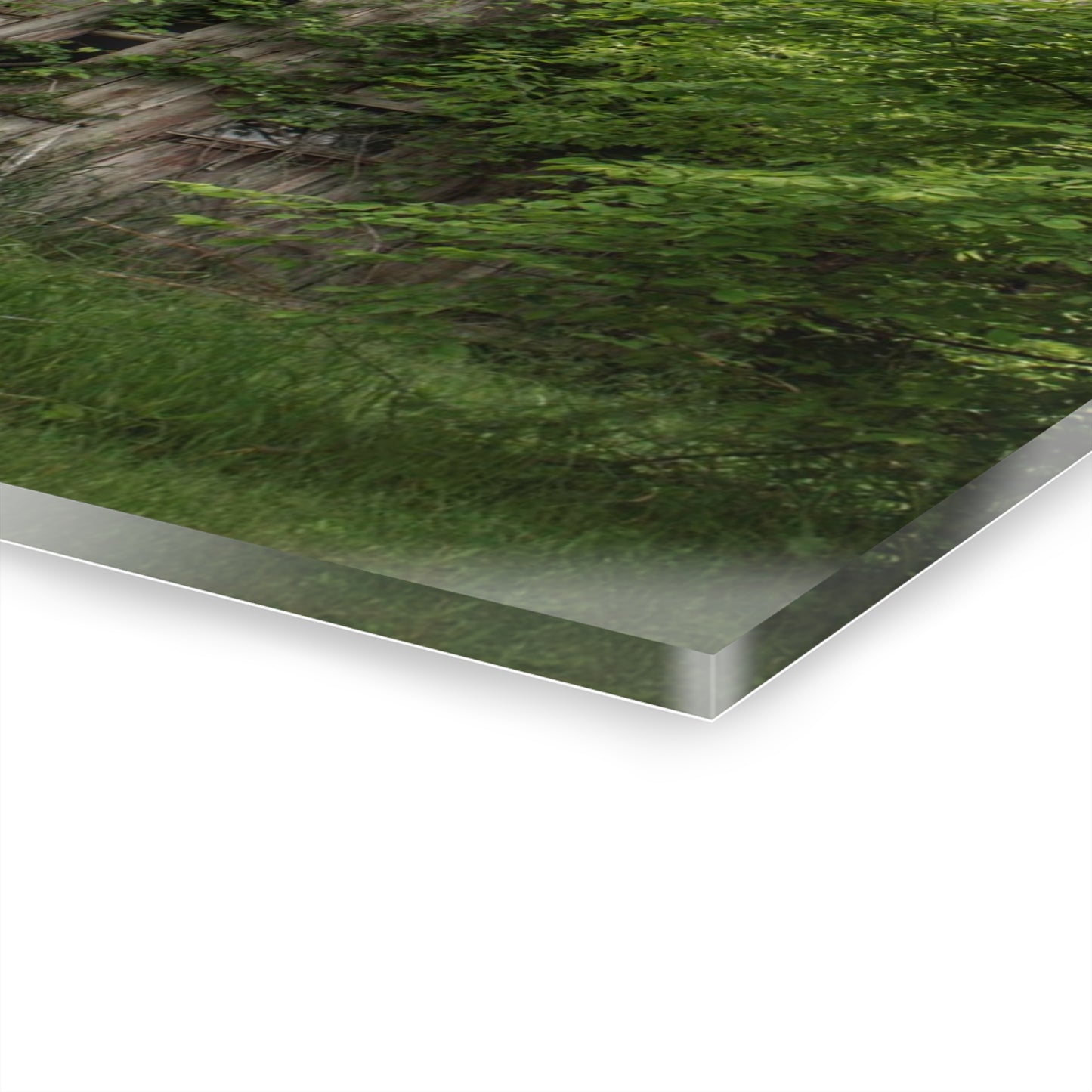 U R There Photography Imlay Hidden Rustic Farmhouse Acrylic Wall Print