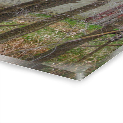 U R There Photography Lake George Red I Rustic Farmhouse Acrylic Wall Print