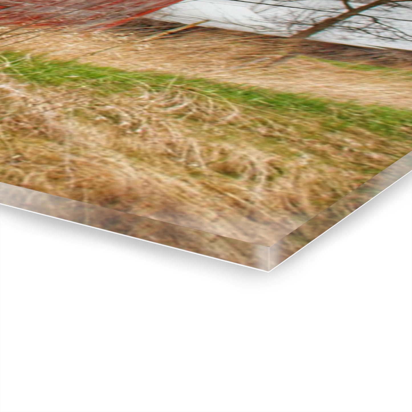 U R There Photography Columbiaville Red 2020 Rustic Farmhouse Acrylic Wall Print