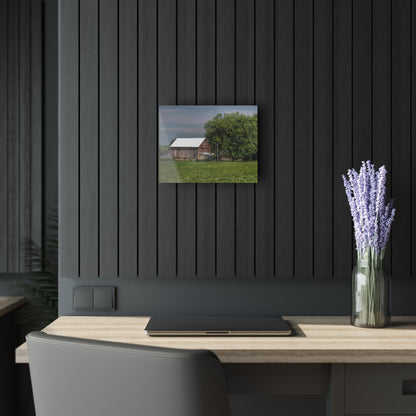 U R There Photography Castle Road Cow Barn III Rustic Farmhouse Acrylic Wall Print