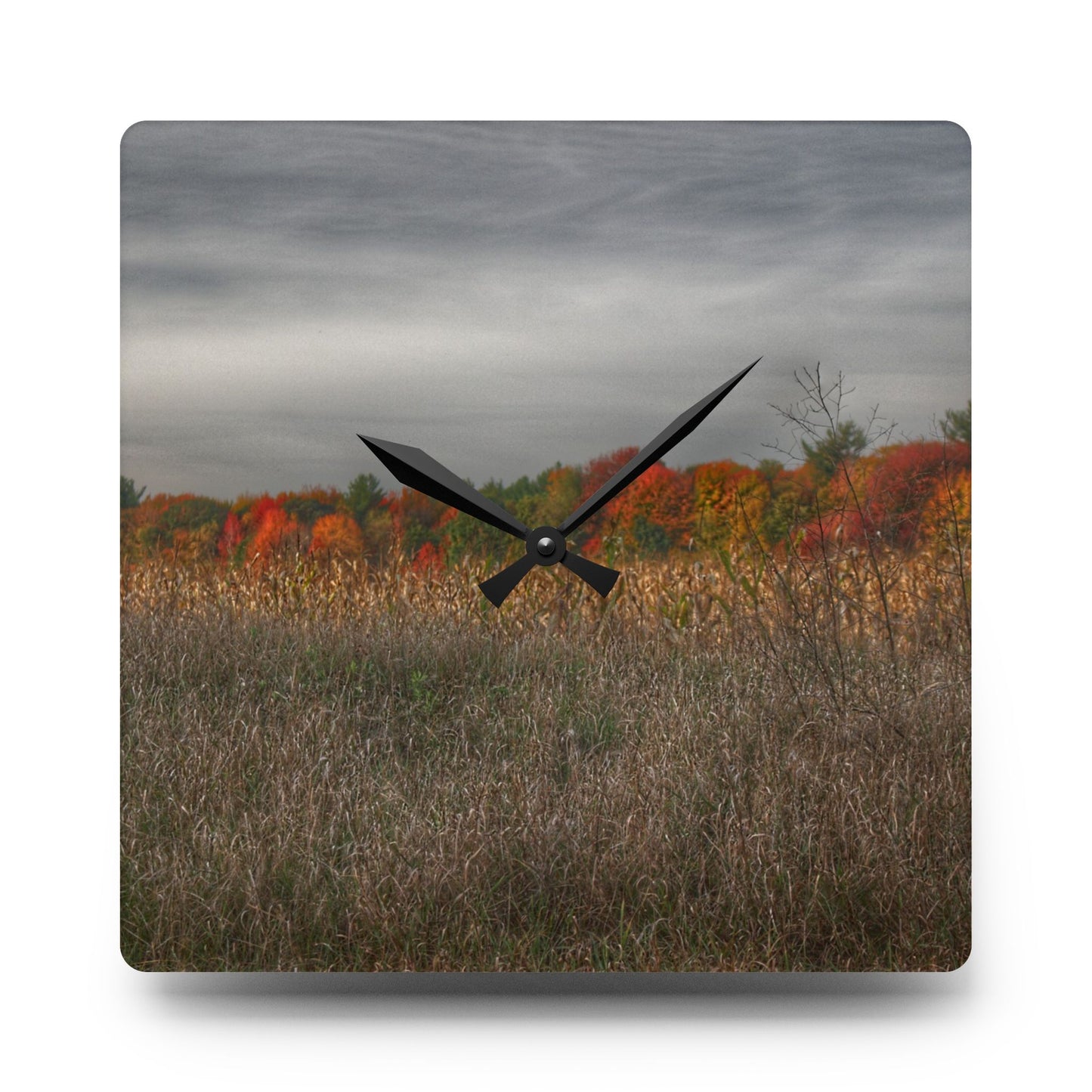 U R There Photography Fall on Murphy Lake V Rustic Farmhouse Acrylic Analog Wall Clock