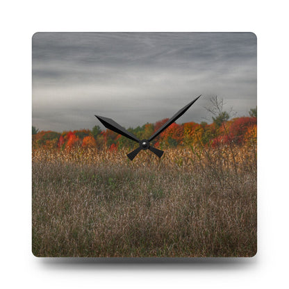 U R There Photography Fall on Murphy Lake V Rustic Farmhouse Acrylic Analog Wall Clock