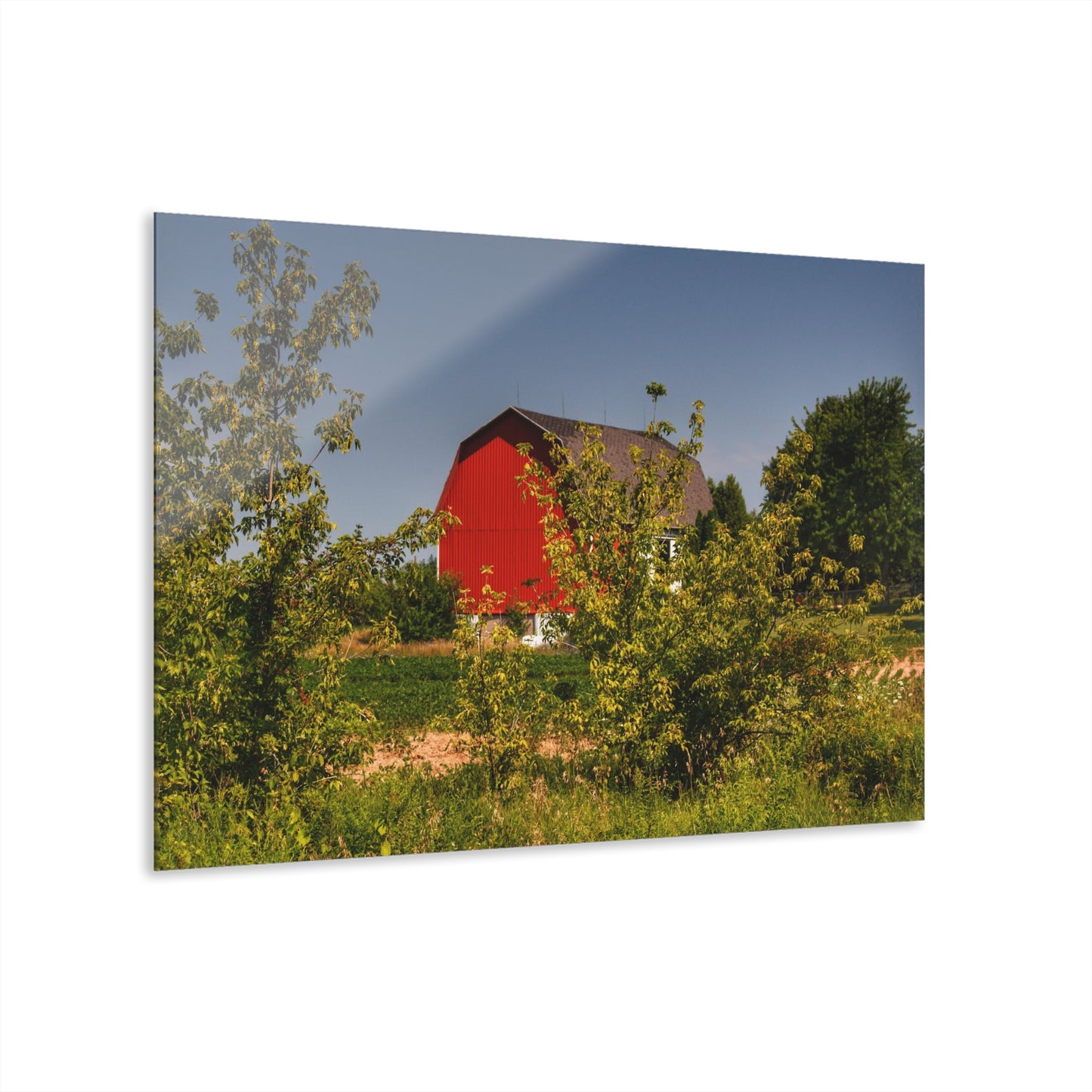 U R There Photography Beyond the Bushes Red Rustic Farmhouse Acrylic Wall Print 14 "x 11"
