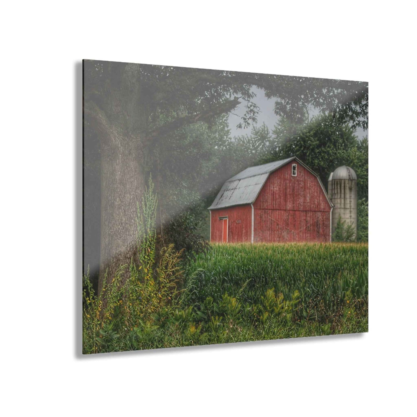U R There Photography Mayville Lapeer Road Red Rustic Farmhouse Acrylic Wall Print