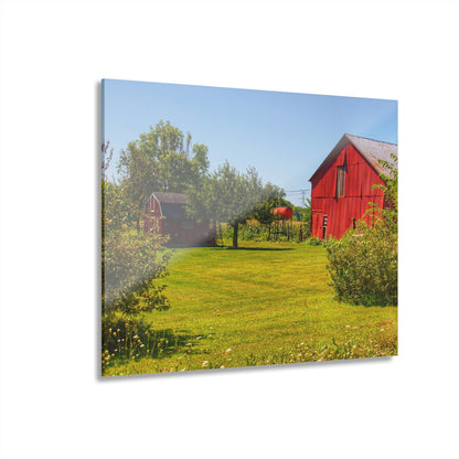 U R There Photography East Farrand Reds Rustic Farmhouse Acrylic Wall Print
