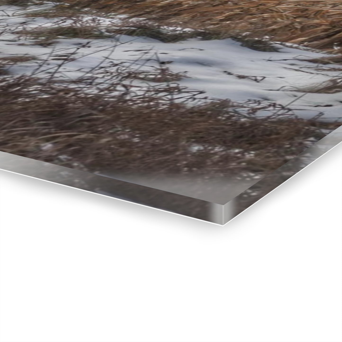 U R There Photography Edward Road Red Rustic Farmhouse Acrylic Wall Print