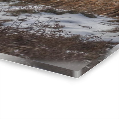 U R There Photography Edward Road Red Rustic Farmhouse Acrylic Wall Print