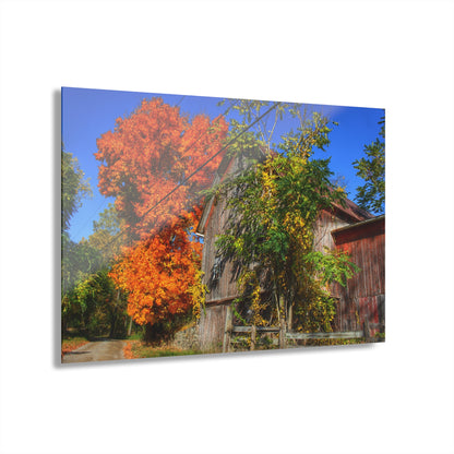 U R There Photography Oxford Rusted Red in Fall Rustic Farmhouse Acrylic Wall Print