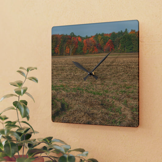 U R There Photography Fall on Murphy Lake III Rustic Farmhouse Acrylic Analog Wall Clock