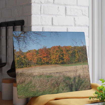 U R There Photography Fall on Piersonville Road Rustic Farmhouse Tempered-Glass Cutting Board