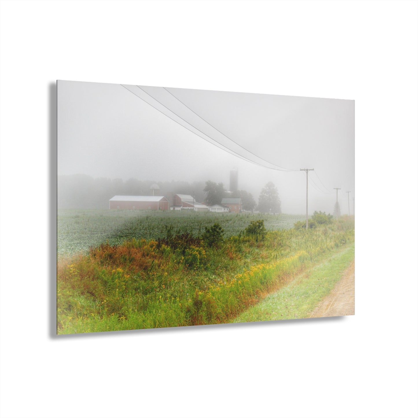 U R There Photography Beyond the Fog Rustic Farmhouse Acrylic Wall Print
