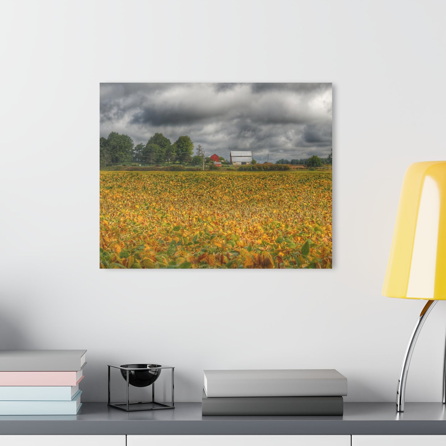 U R There Photography Golden Fields Farm Rustic Farmhouse Acrylic Wall Print
