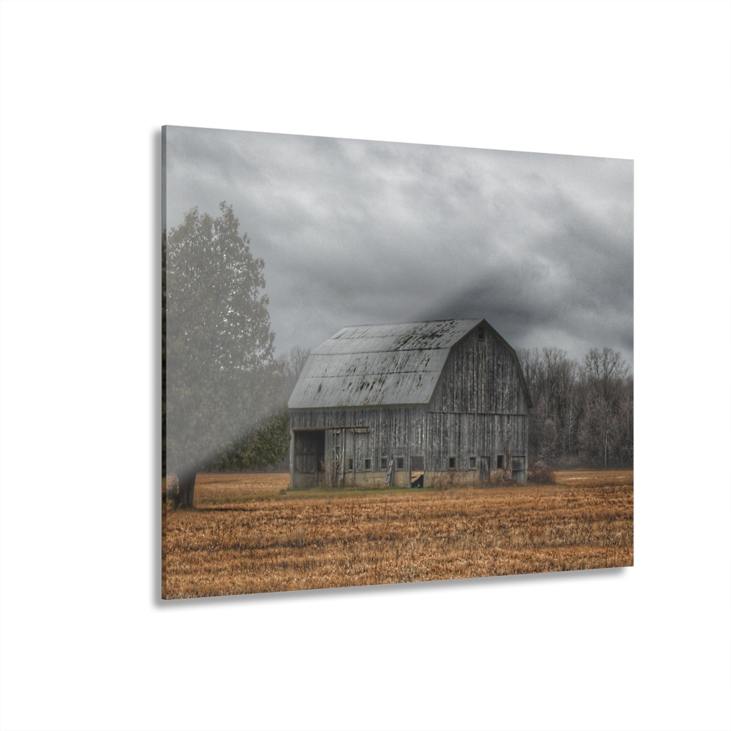U R There Photography Grey Barn and Tree Rustic Farmhouse Acrylic Wall Print