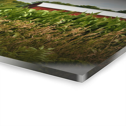 U R There Photography July Corn Rustic Farmhouse Acrylic Wall Print