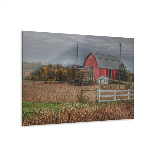 U R There Photography Barnes Road Red in Fall Rustic Farmhouse Acrylic Wall Print