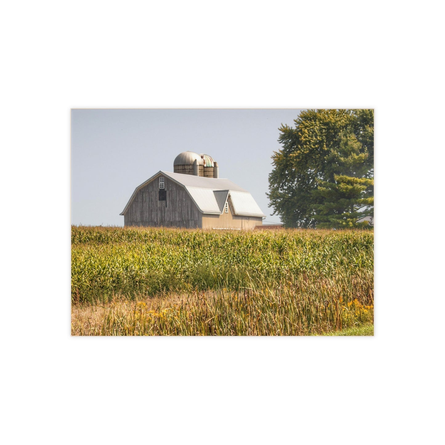 U R There Photography Beyond the September Corn on Swaffer Rustic Farmhouse Decorative Ceramic Tile