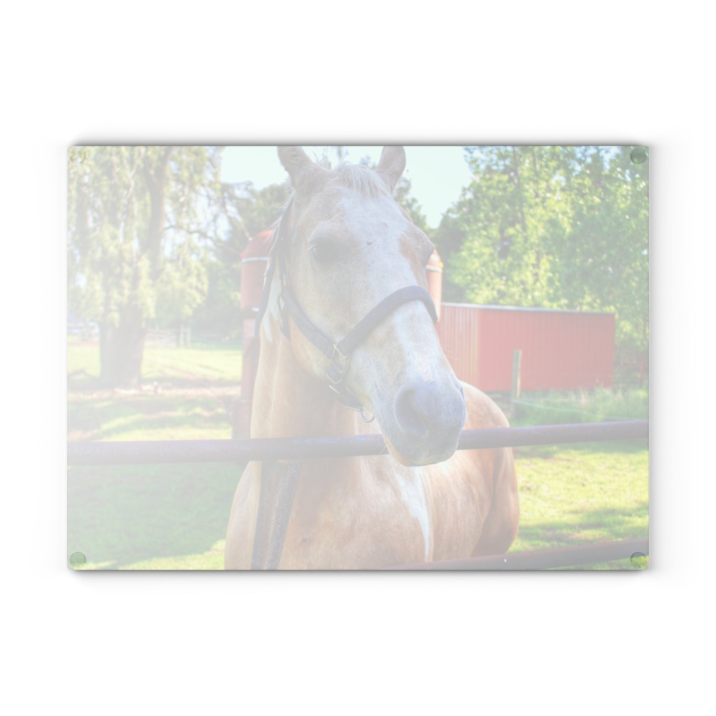 U R There Photography White Cream Mare of Hollenbeck Rustic Farmhouse Tempered-Glass Cutting Board