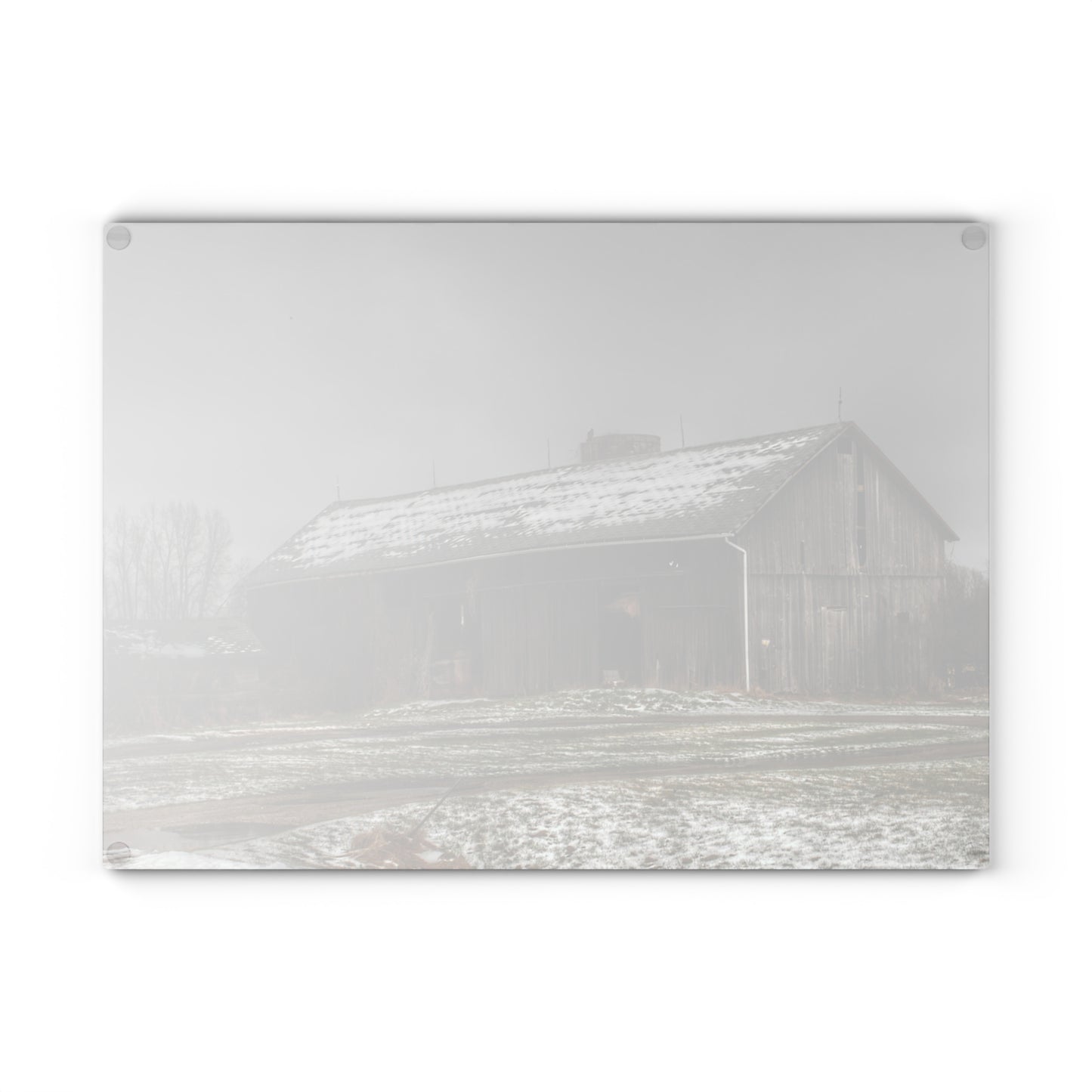 U R There Photography Wilder Road Grey in Spring Rustic Farmhouse Tempered-Glass Cutting Board
