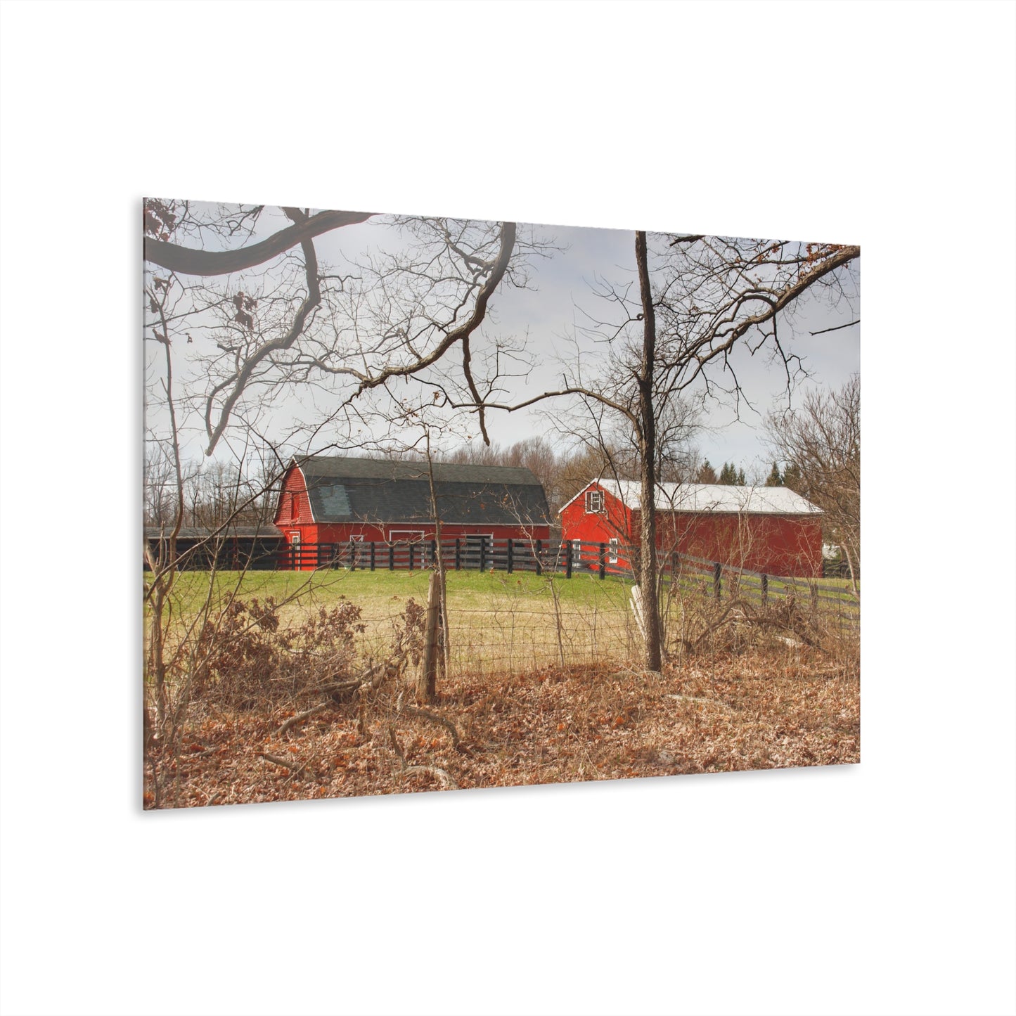 U R There Photography Hidden Hosner Reds Rustic Farmhouse Acrylic Wall Print