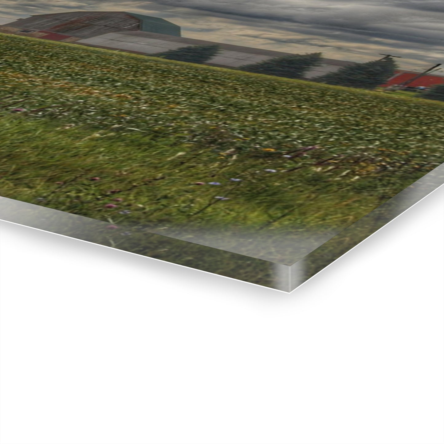 U R There Photography Early Fall on the Farm Rustic Farmhouse Acrylic Wall Print