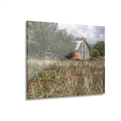 U R There Photography East Frances Road Hidden Grey I Rustic Farmhouse Acrylic Wall Print