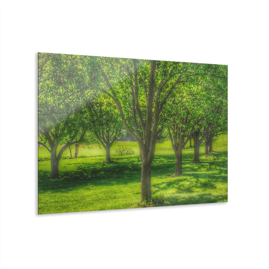 U R There Photography Spring Trees in Chartreuse Rustic Farmhouse Acrylic Wall Print