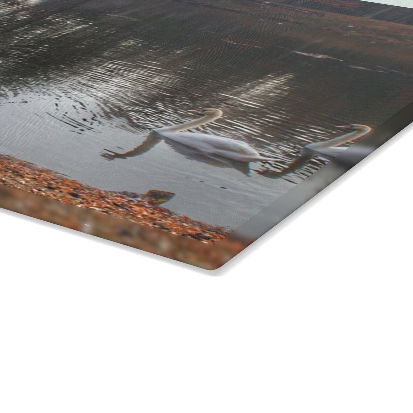U R There Photography Swans of Duck Lake I Rustic Farmhouse Tempered-Glass Cutting Board