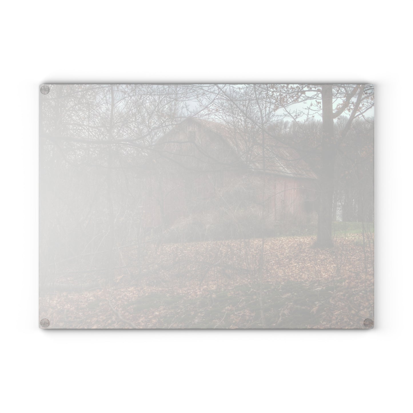 U R There Photography Mayville Hidden Barn II Rustic Farmhouse Tempered-Glass Cutting Board