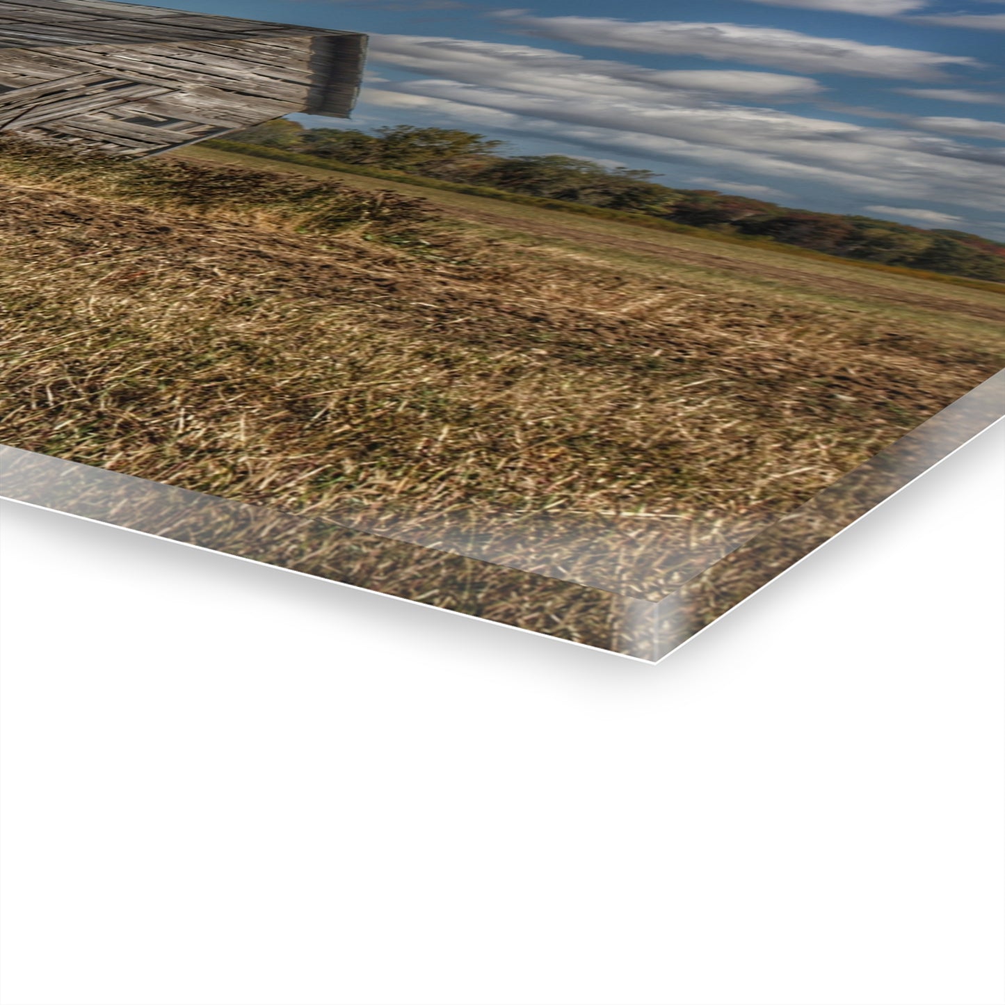 U R There Photography Freiberger Road Little Grey Shack Rustic Farmhouse Acrylic Wall Print