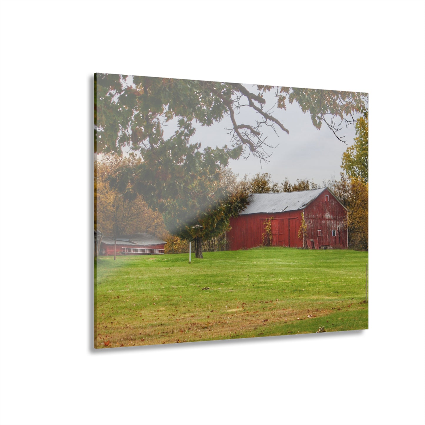U R There Photography Hill Road Roadside Red Rustic Farmhouse Acrylic Wall Print