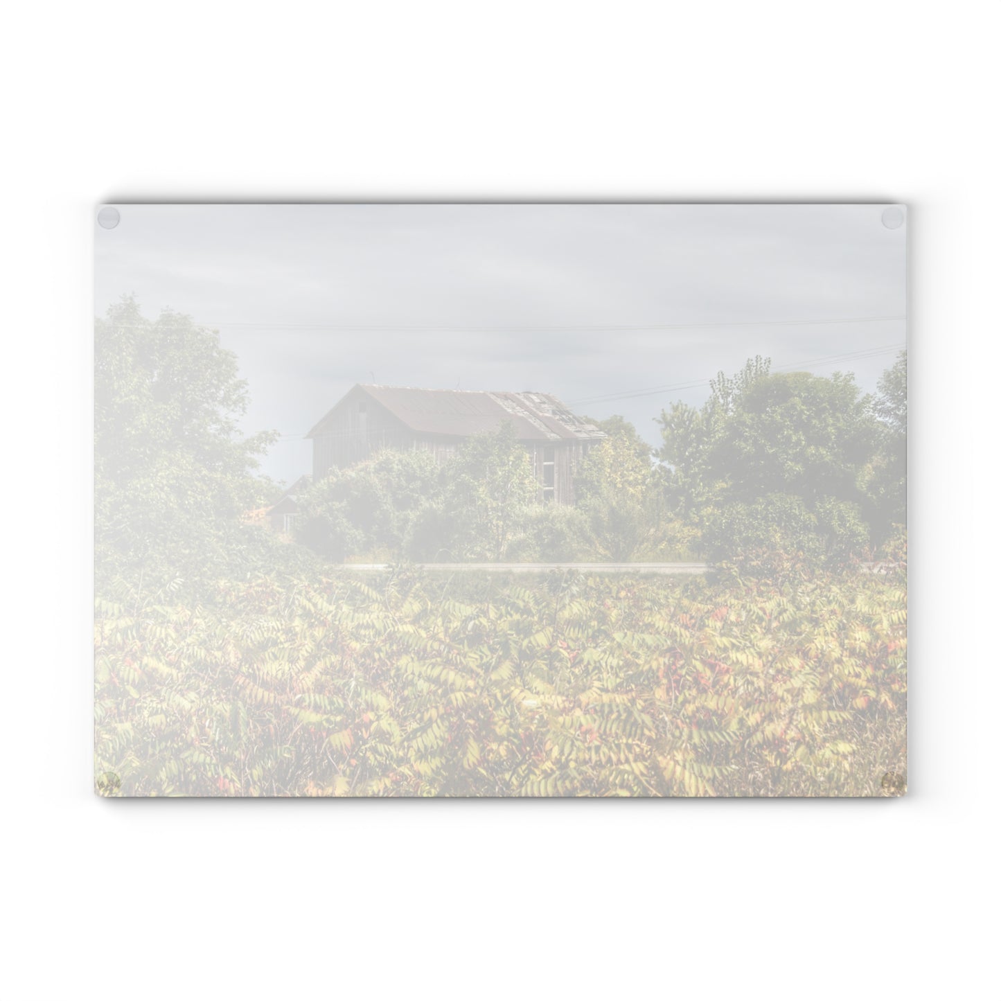 U R There Photography Van Dyke Grey Rustic Farmhouse Tempered-Glass Cutting Board