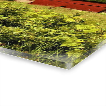 U R There Photography Elmwood Road Red and Horses Rustic Farmhouse Acrylic Wall Print