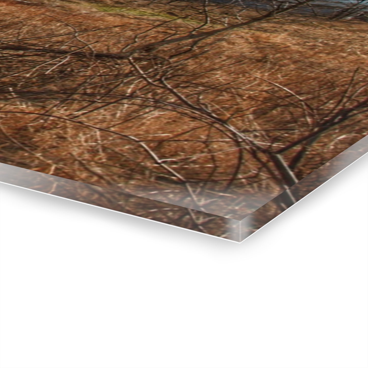 U R There Photography Newark Road White II Rustic Farmhouse Acrylic Wall Print