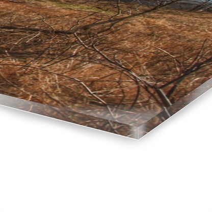 U R There Photography Newark Road White II Rustic Farmhouse Acrylic Wall Print