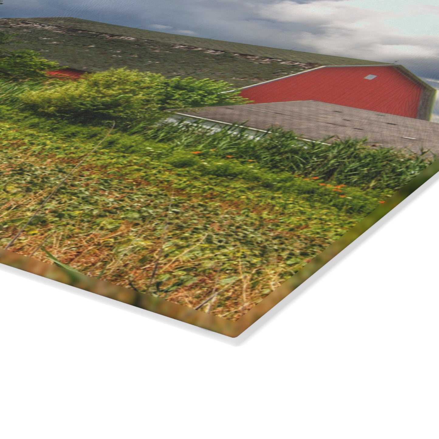 U R There Photography Shelby Red IV Rustic Farmhouse Tempered-Glass Cutting Board