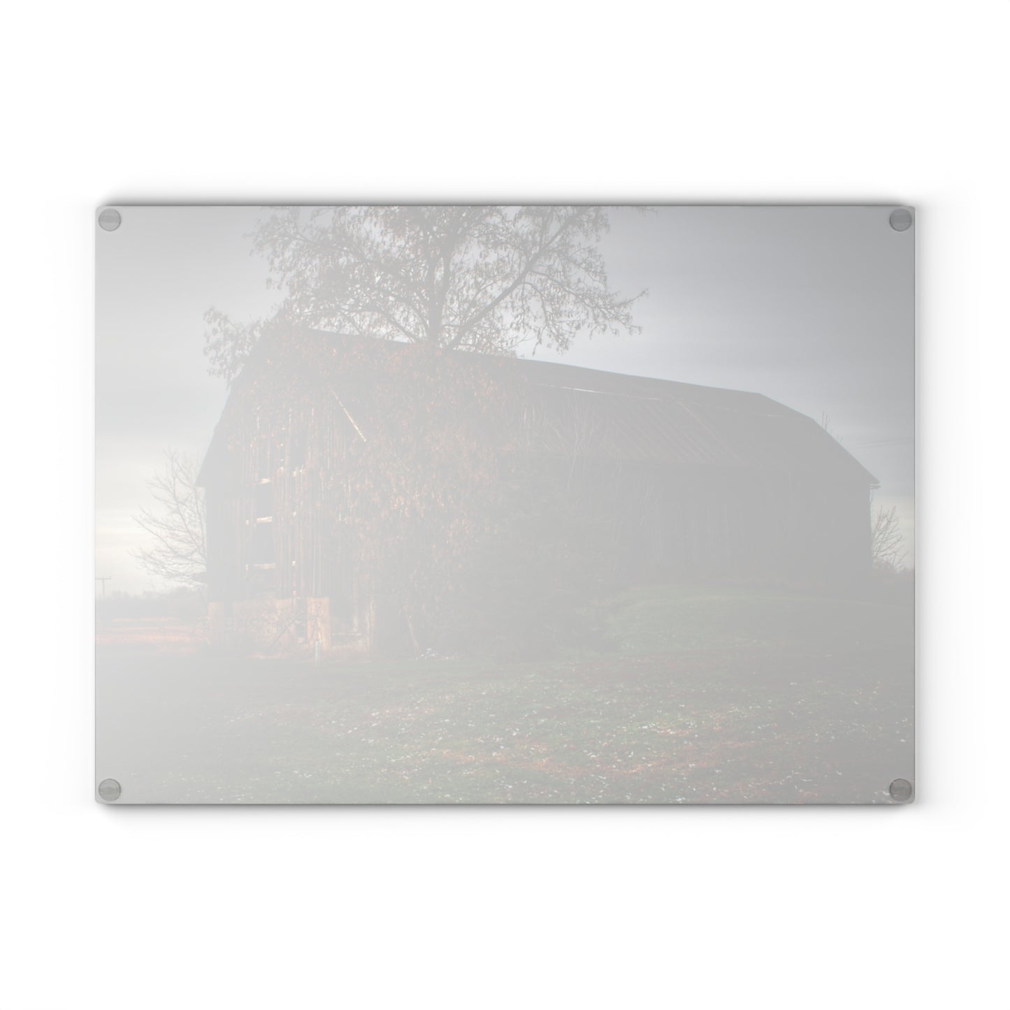U R There Photography Melvin Grey Rustic Farmhouse Tempered-Glass Cutting Board