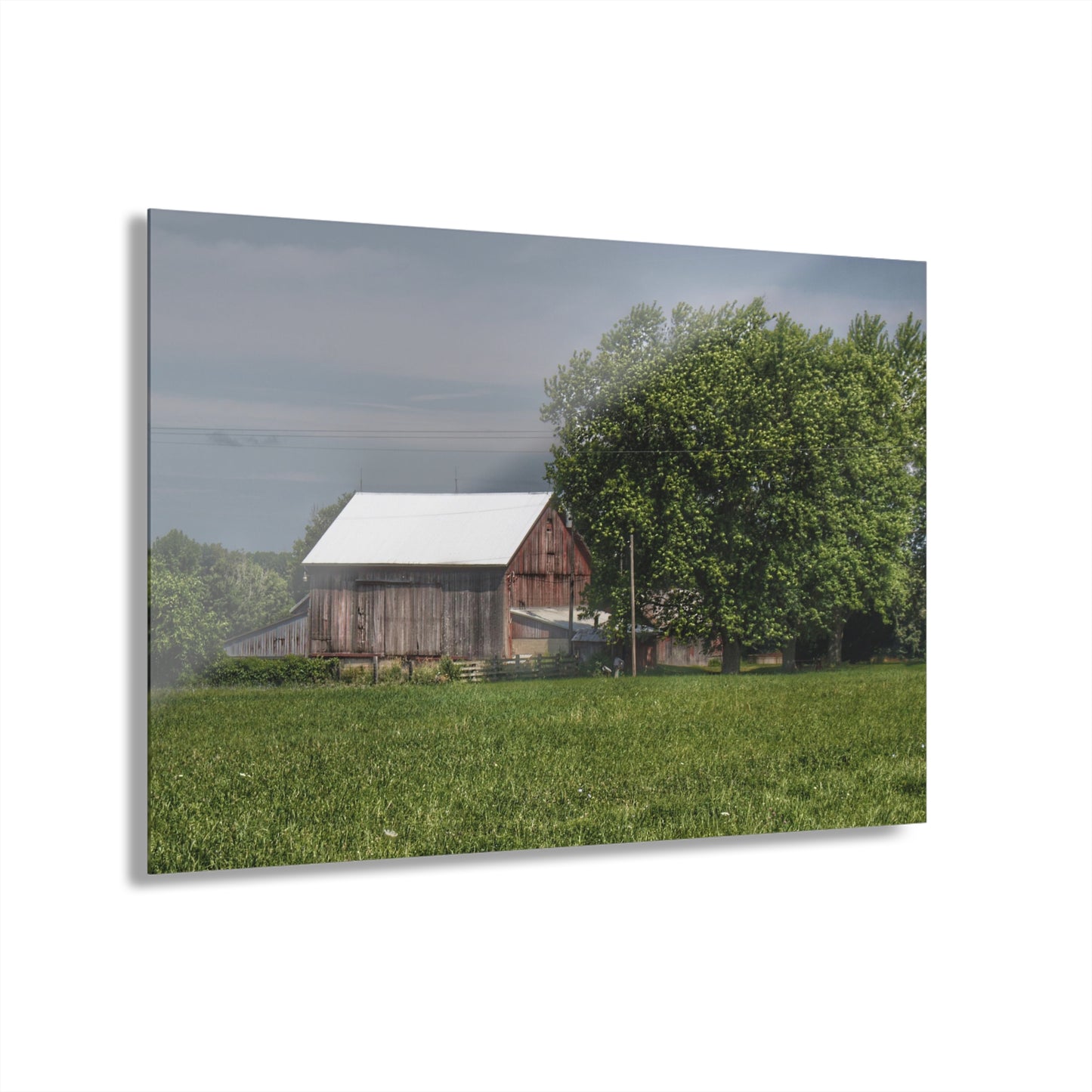U R There Photography Castle Road Cow Barn III Rustic Farmhouse Acrylic Wall Print